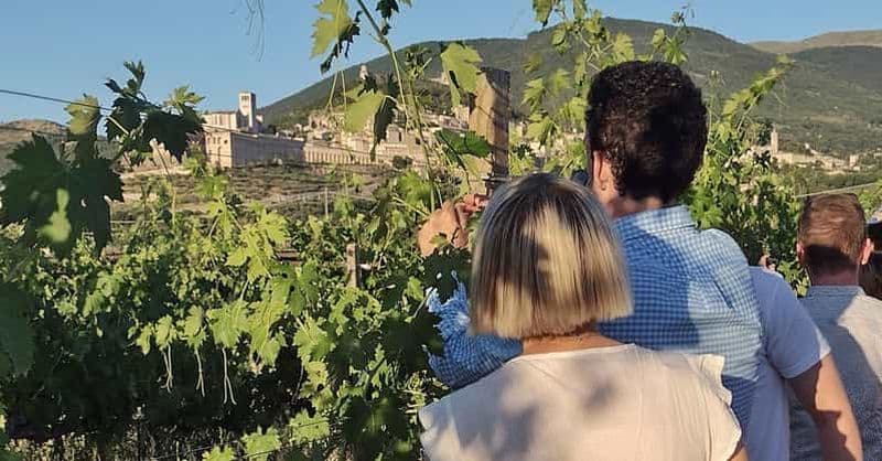 Billet Assise : Dégustation de vins, accords gastronomiques, promenade dans les vignobles