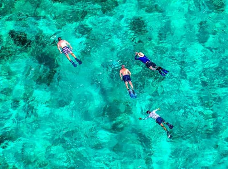 Billet Les Keys de Floride : Journée complète de kayak et de plongée en apnée sur les récifs coralliens