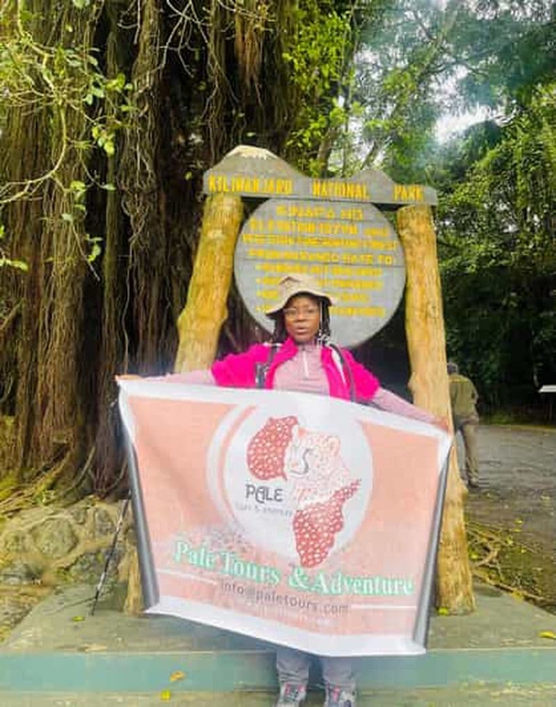 Billet Randonnée d'une journée sur le Kilimandjaro (Lemosho, Marangu ou Machame)