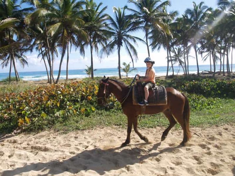 Billet Punta Cana : Promenade à cheval vers la plage de Macao