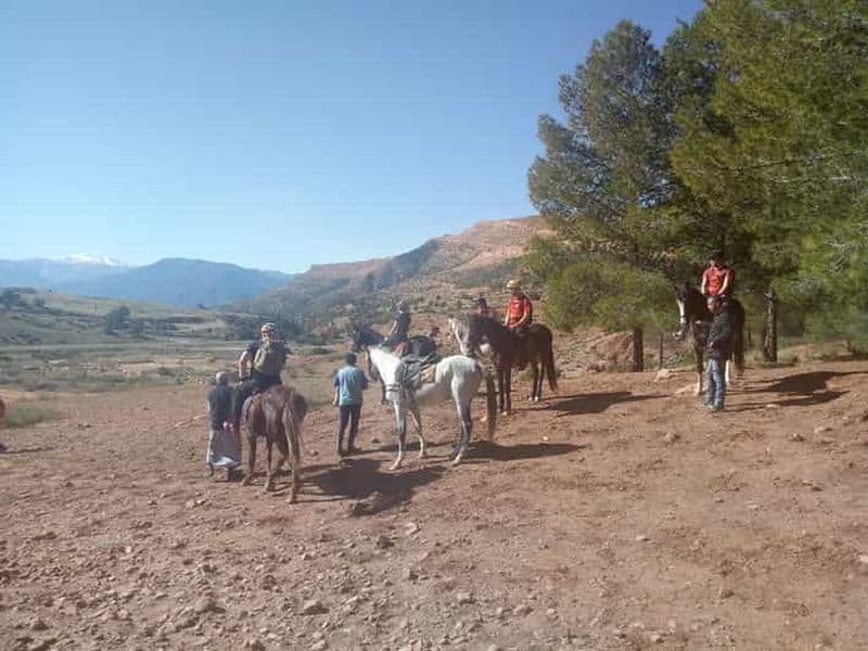 Marrakech : Journée d'équitation dans les montagnes de l'Atlas