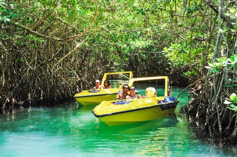 Billet Cancun : Excursion en bateau rapide dans la jungle de la mangrove et plongée en apnée