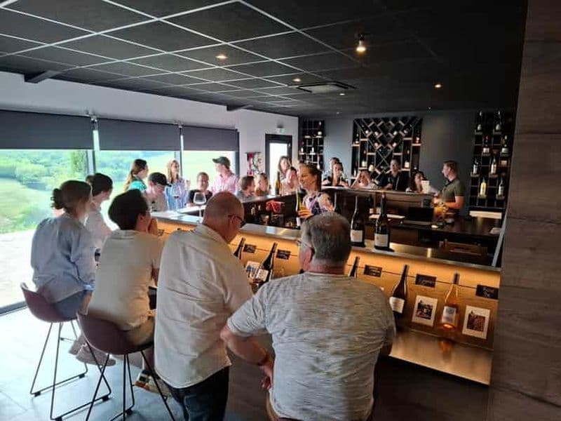 Au départ de Lyon : Circuit d'une demi-journée sur la route des vins du Beaujolais