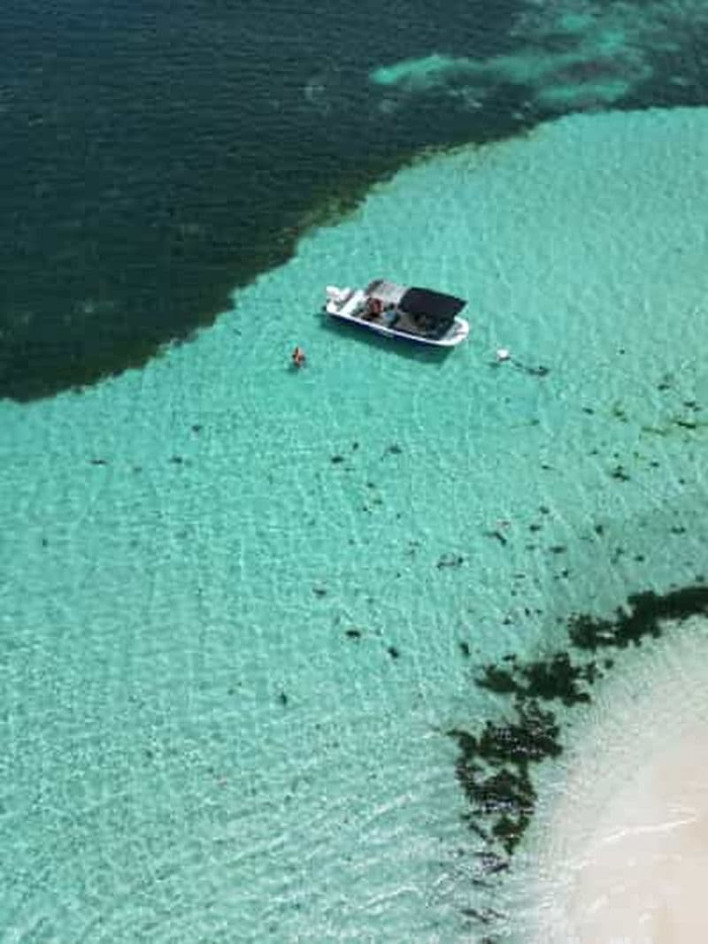 Billet Guadeloupe : Excursion 1/2j magique en bateau : mangrove, îlet, snorkeling.