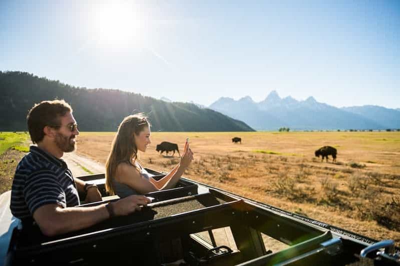 Billet Depuis Jackson : safari écologique de 4 heures dans le parc national de Grand Teton