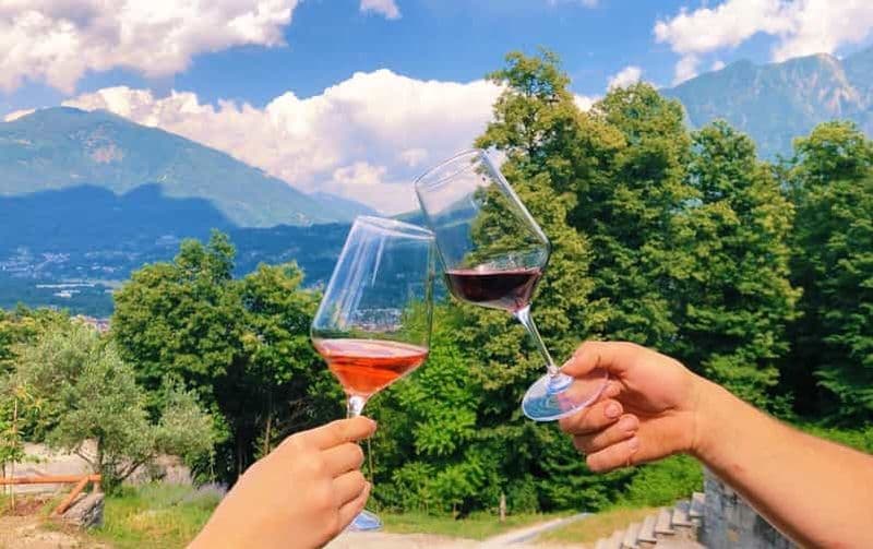 Billet Domodossola : Savourez des vins et des spécialités locales dans un vignoble pittoresque