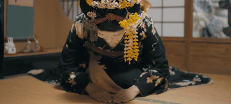 Billet Visite culturelle de Gion à Kyoto et spectacle de geisha avec options de repas