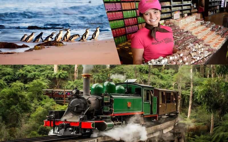 Billet Melbourne, Puffing Billy, pingouins, vallée de Yarra, dégustation de vins
