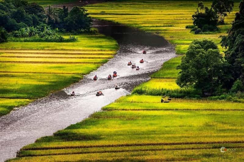 Visitez des sites célèbres et admirez les oiseaux à Ninh Binh pendant 2 jours