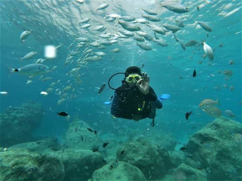 Antalya et Kemer : Journée complète de plongée sous-marine avec déjeuner
