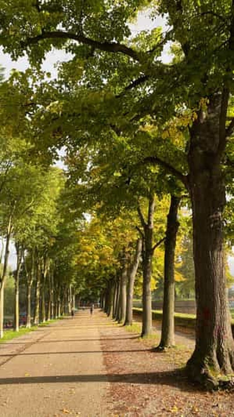 Visite des vignobles de Lucques : 2 dégustations avec déjeuner + transport en minibus