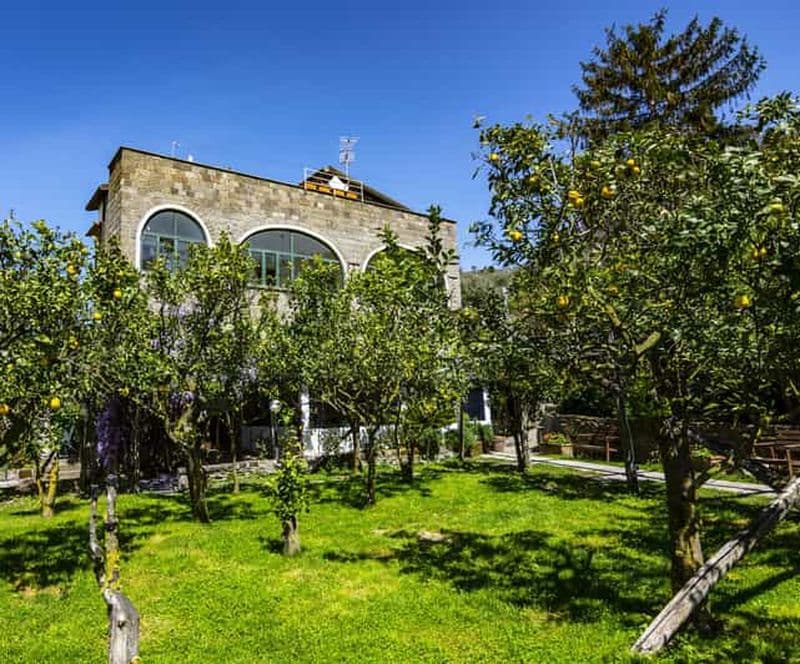 Billet Sorrente : Excursion en E-Bike sur la côte avec dégustation de Limoncello