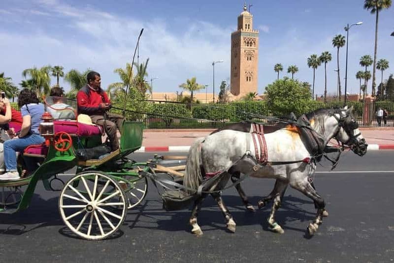 Billet Marrakech : Découvrez la ville lors d'une promenade en calèche d'une heure