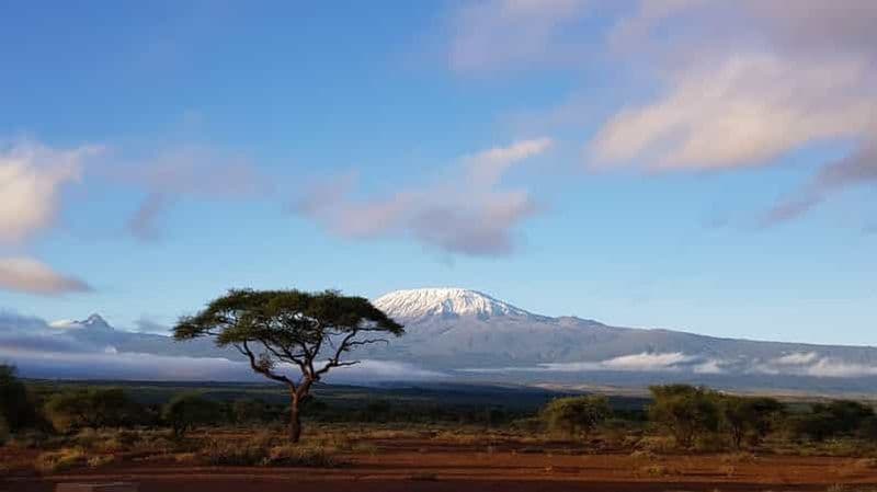 Billet Parc national du Kilimandjaro - Plateau de Shira, randonnée d'une journée