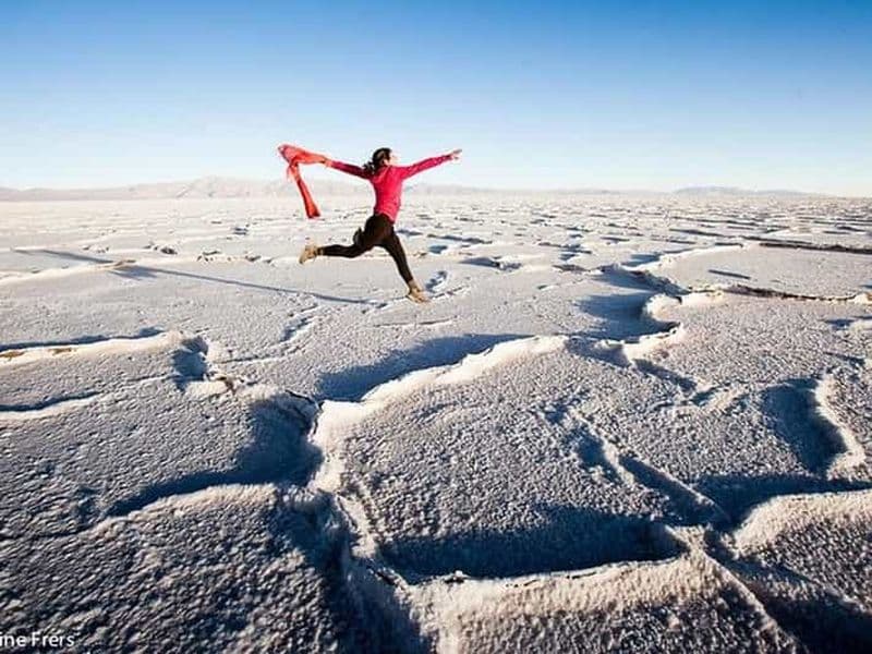 Salta : safari vers les nuages et Salinas Grandes en 4x4