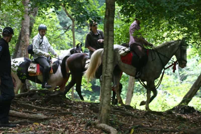 Demi-journée d'équitation à Dambulla