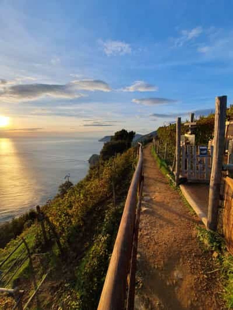 Billet Randonnée avec Gaia de Corniglia à Manarola, accompagnée d'une dégustation dans le vignoble.