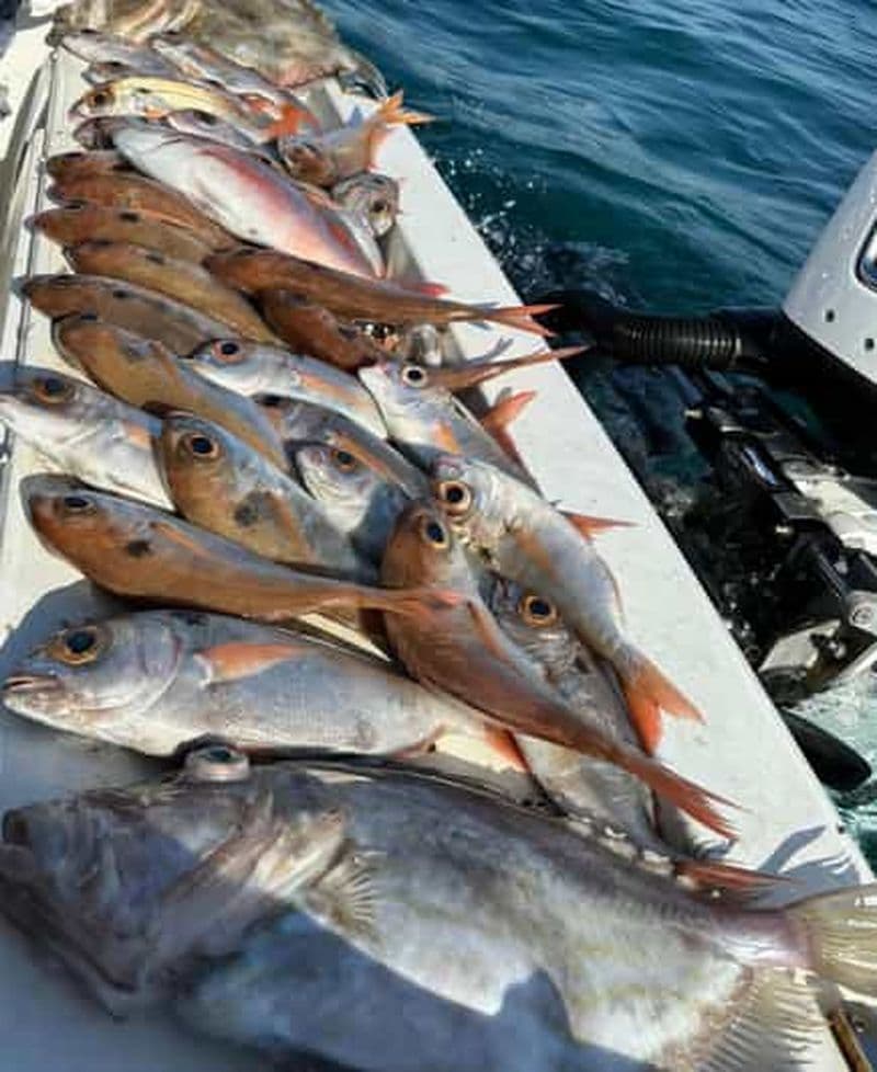 Billet Tour de pêche avec technique de pêche au moyen fond ou à la canne.