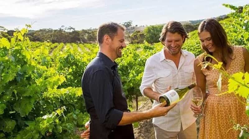 Ontario : Après-midi de visite des vignobles et de dégustation de fromages