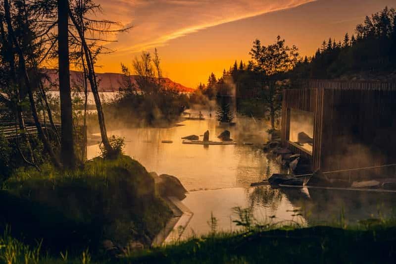 Billet Akureyri : excursion d'observation des baleines et entrée à la lagune forestière