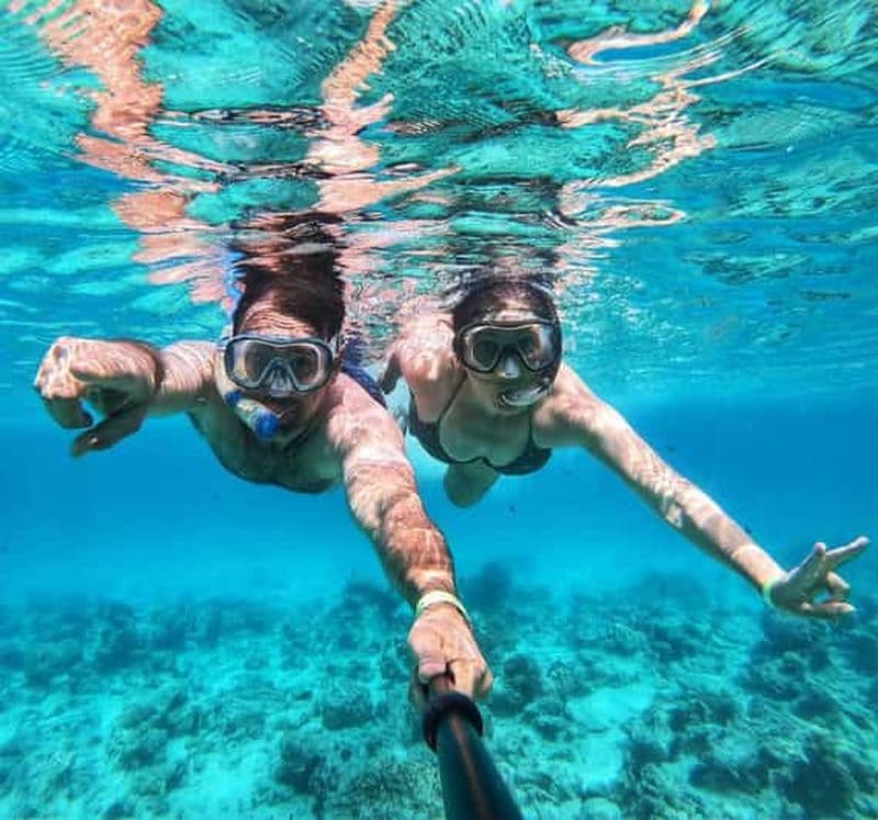 Billet Dauphins de Zanzibar+ snokling à Mnemba avec des tortues en train de nager