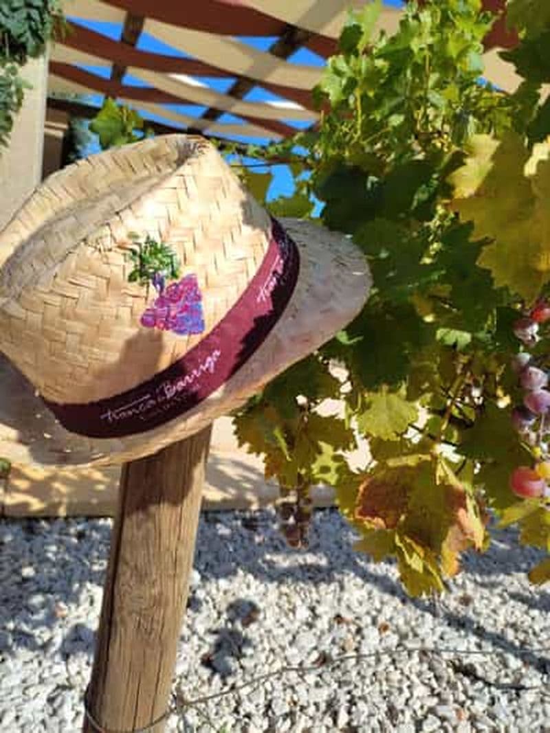 Covilhã : Atelier de peinture acrylique avec dégustation de vin