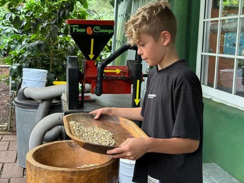 Billet Boquete : Expérience pratique de café avec dégustation