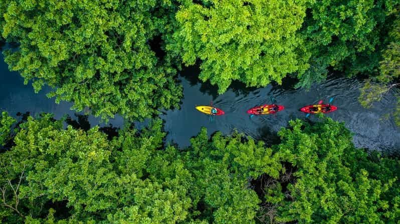Maurice : Visite guidée en kayak sur la rivière Tamarin