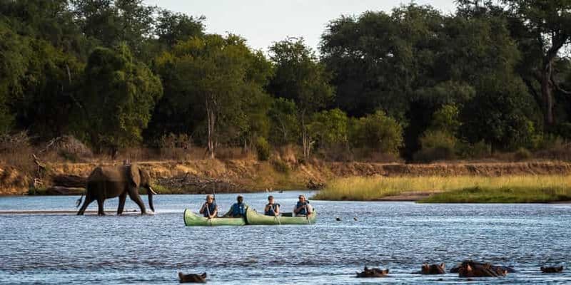 Lac Manyara : Excursion d'une journée en canoë avec observation des oiseaux