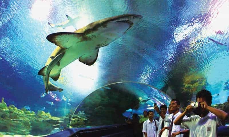 Kuala Lumpur : Billet d'entrée pour Aquaria KLCC