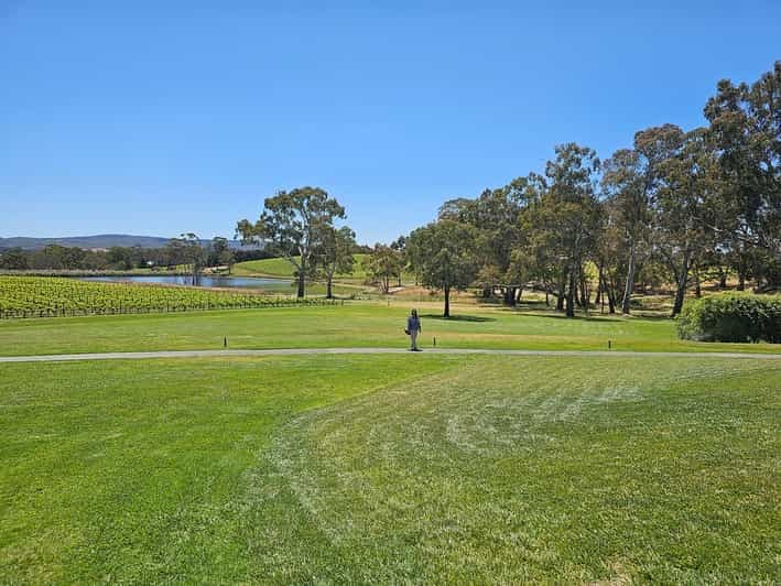 Billet Visite des vignobles de McLaren Vale et de l'historique Hahndorf