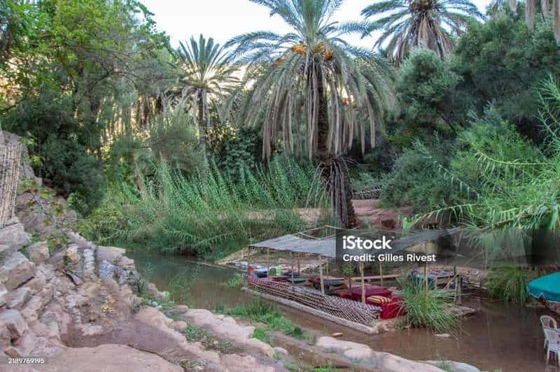 Agadir/Taghazout : Vallée paradisiaque et sandboard avec déjeuner