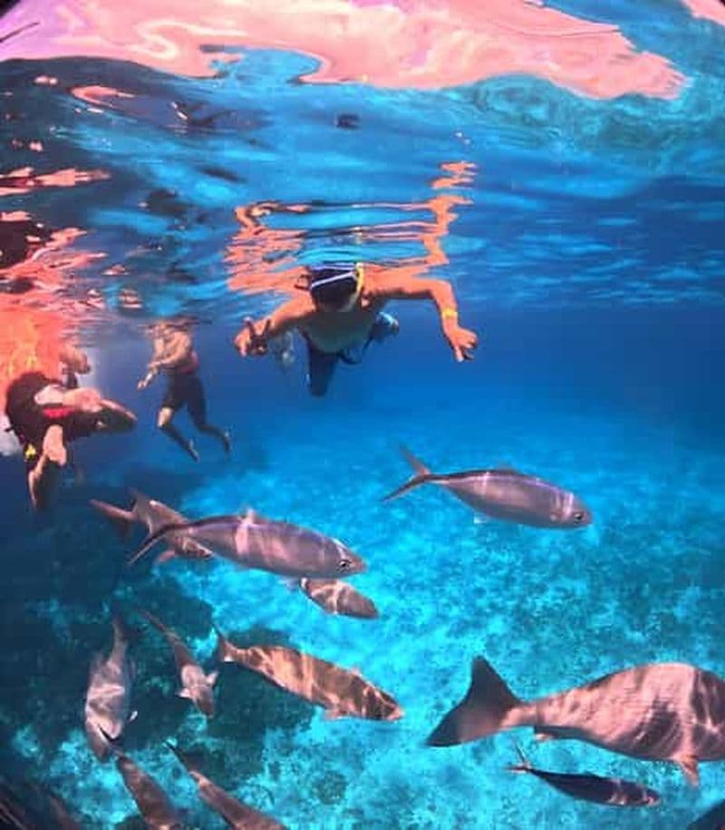 Billet Puerto Morelos Snorkeling : Découvrez la vie sous-marine !