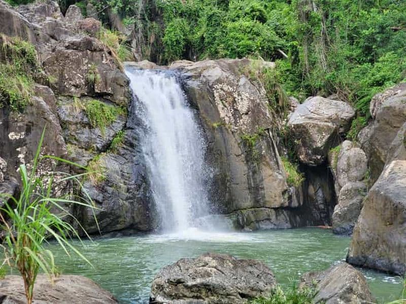 Depuis San Juan : Randonnée et saut de falaise à la cascade d'El Yunque