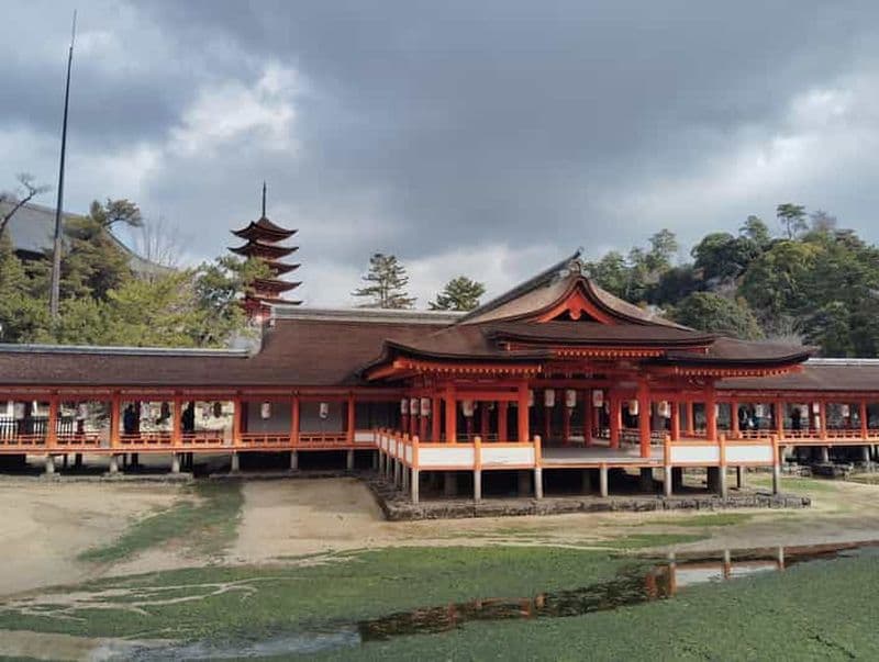 Billet Sanctuaire d'Itsukushima : Visite guidée avec un habitant de la région
