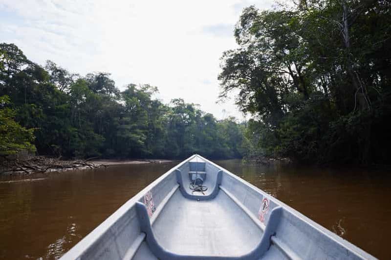 Billet Cuyabeno : 4 jours d'aventure dans la jungle amazonienne avec séjour en lodge