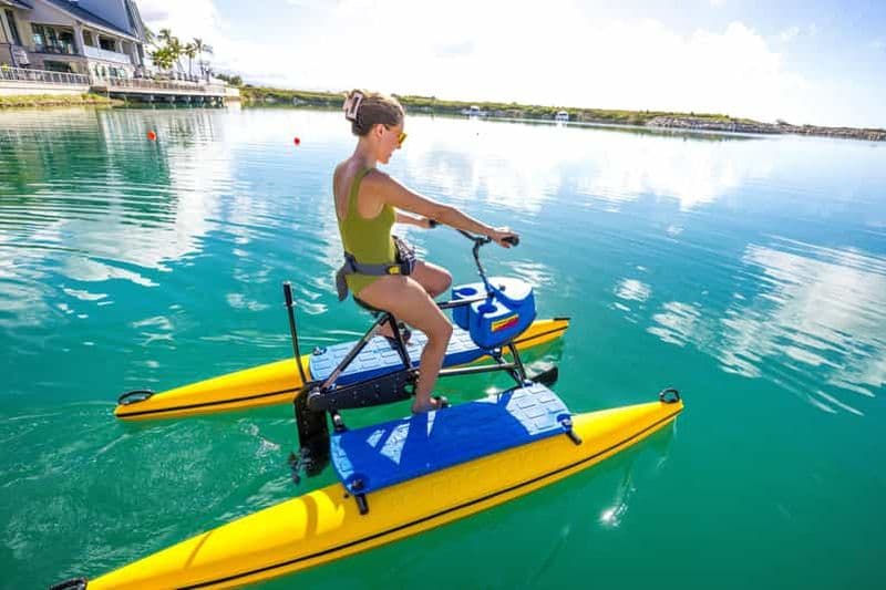 Billet Pass Wai Kai Paddle