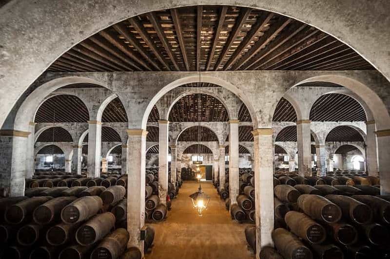 Jerez : visite d'une heure et demie d'une cave à vin et dégustation de vin de Xérès