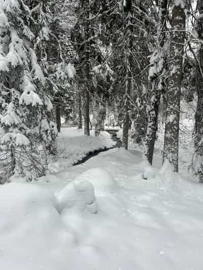 Billet Stockholm : sauna traditionnel guidé