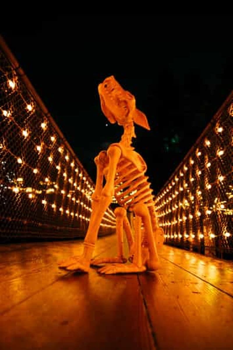 Billet Suspendu au pont de Capilano : une visite privative d'Halloween en 7 étapes