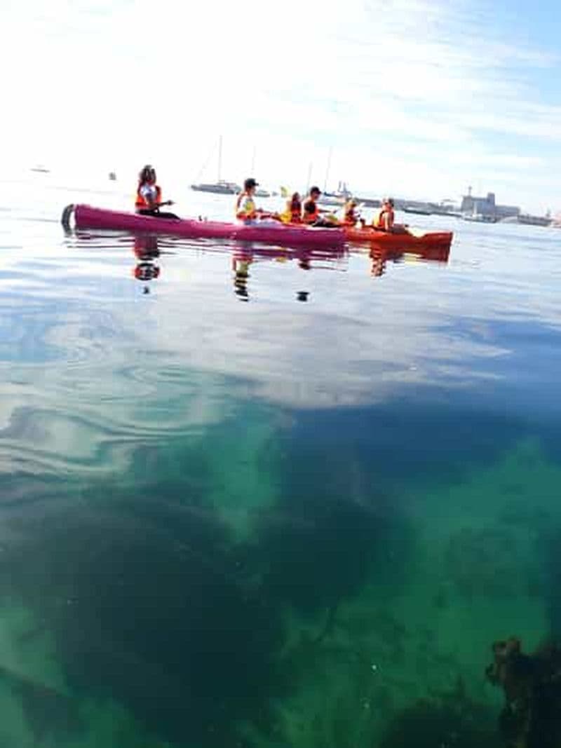 Billet Le Cap : aventure guidée en kayak à Simon's Town