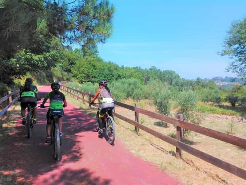 Billet Depuis Coimbra : Cyclisme sur l'Ecotrail du Dão