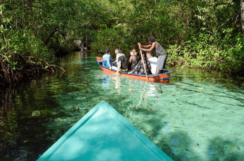Punta Cana : Observation des baleines, Cayo Levantado et cascade de Limón