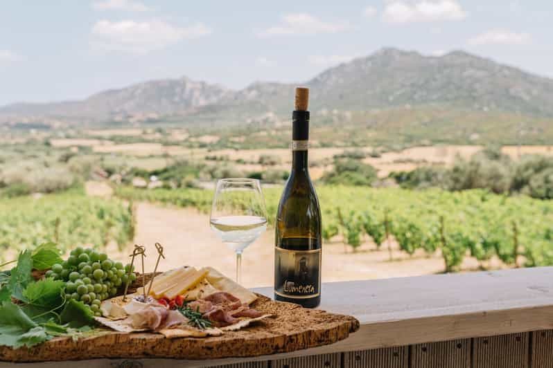 Olbia : Visite guidée du vignoble Gallura avec dégustation