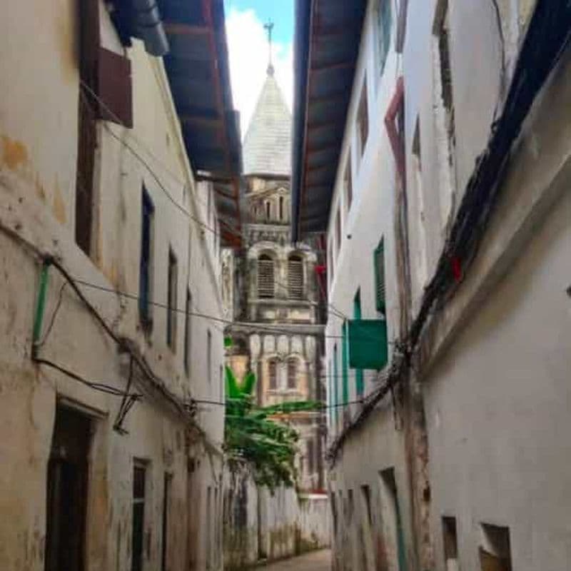 Zanzibar : visite de la maison de Freddie Mercury, de la princesse Salme et dégustation de café