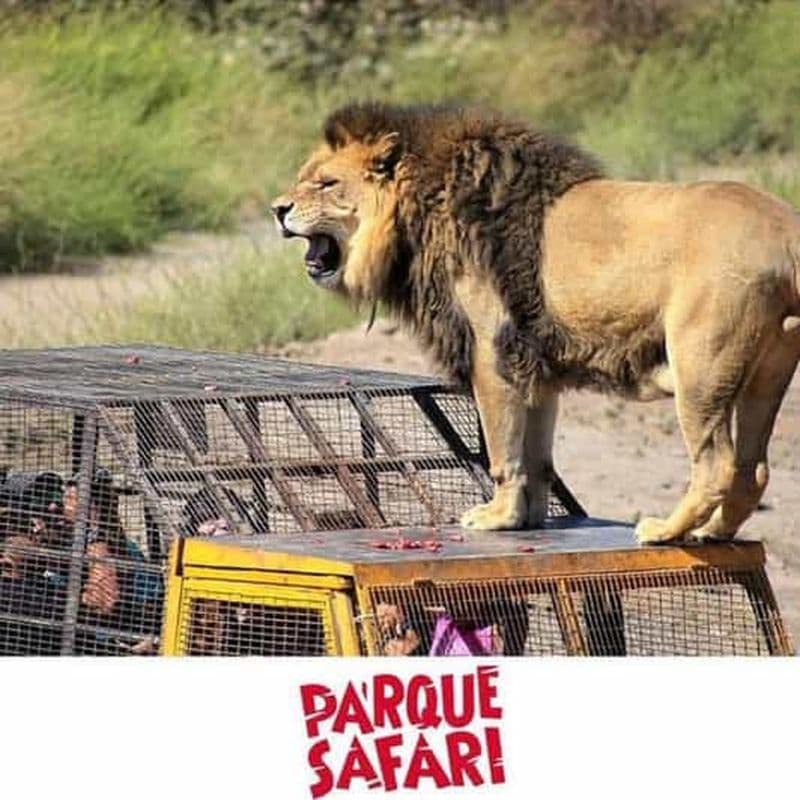 Santiago, parc safari