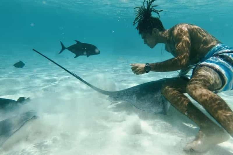 Billet Moorea : Aventure en bateau à fond de verre avec les merveilles du lagon