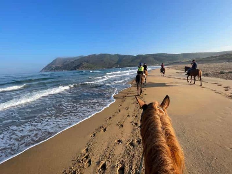 Excursion à cheval sur la plage de Porto Ferro à Alghero