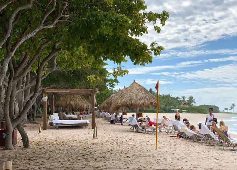 Visite privée : plongée sous-marine à la grande barrière et au jardin de corail