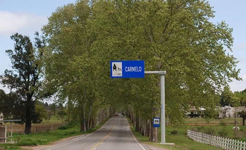 Billet Transfert privatif de Colonia à Carmelo (ou vice versa)